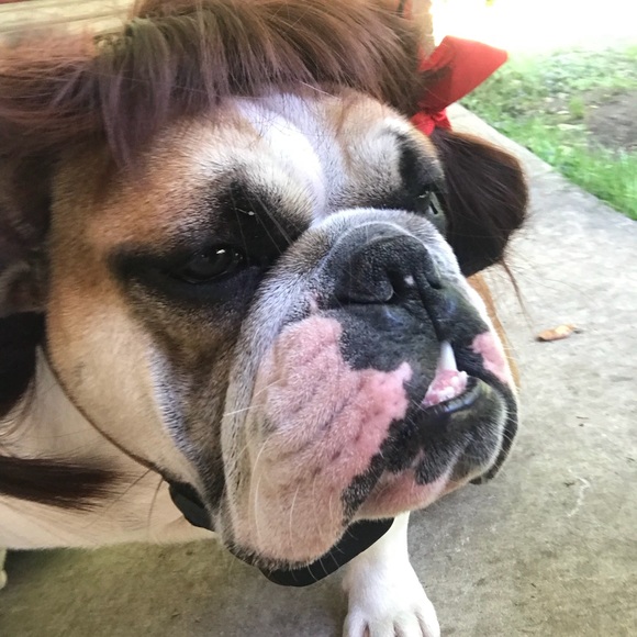 My Beautiful Family - Picture 7 of 7